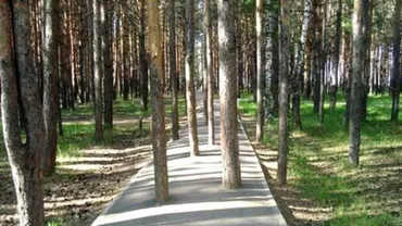 Când Dorel IESE LA ATAC. Imagini amuzante cu personajul emblemă al construcțiilor eșuate (FOTO)