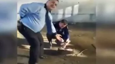 "SIGURANŢĂ ŞI ÎNCREDERE" CU FRIPTURA PE GRĂTAR ȘI MUZICĂ LĂUTĂREASCĂ! CHERMEZĂ ÎNTRE POLIȚIȘTI, în timpul programului, după blocuri, în Capitală (VIDEO)