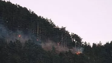 Brașov: Incendiu de vegetație pe muntele Tâmpa. Focul a cuprins o suprafaţă de 500 de metri pătraţi și există riscul să se extindă 