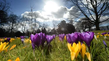 Cum va fi vremea de Florii şi de Paşti: Anunţul ÎNGRIJORĂTOR al meteorologilor