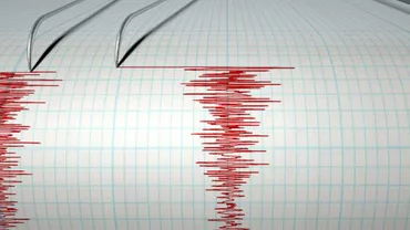 Cutremur în județul Buzău, miercuri după-amiază