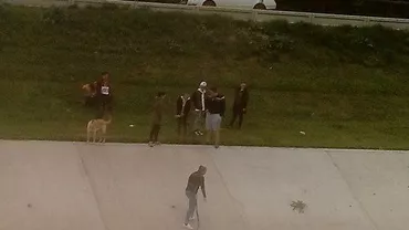 VANDALISM: Un grup de tineri au rupt o bancă și au aruncat-o în apele tulburi ale râului Bahlui din Iași (FOTO)