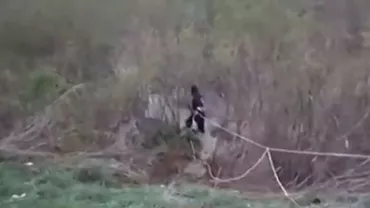Tragedie la Iași: Doi bărbați care se deplasau cu un ATV au fost luați de viitură (VIDEO)