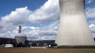 Acţionarii NU au fost de acord cu prelungirea mandatului Danielei Lulache în Consiliul de Administraţie al Nuclearelectrica