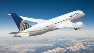 Incident trist pentru compania United Airlines. Un iepure imens a fost găsit mort în cala unui avion (FOTO)