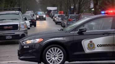 Descoperire ȘOCANTĂ a polițiștilor! Porumbeii fac cuib din seringi hipodermice (FOTO)