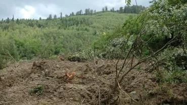 PERICOL în Vaslui: Un drum de acces stă să se PRĂBUȘEASCĂ. 300 de gospodării sunt la risc!