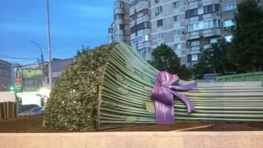 SARCOFAGUL de la Tineretului: Un experiment SINISTRU al Primăriei sectorului 4! "Aştept să iasă Nefertiti, interpretată de Gabi Firea!" (VIDEO)