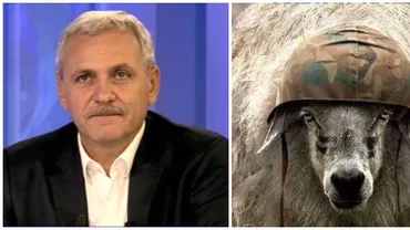 Dragnea susține OAIA ROMÂNEASCĂ: Subvenții de 1 leu/kg de lână. Agricultură sau Apărare Națională?