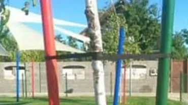 Donaţie CU DEDICAȚIE: Stâlpişori vopsiţi în STEAGUL Ungariei la Salonta (FOTO)