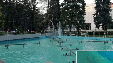 Vaslui: Furt la fântâna arteziană! Mascota orașului a fost luată acasă de un localnic