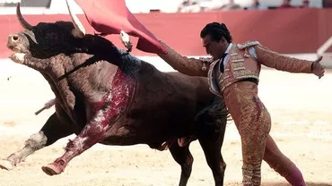 Un toreador spaniol a fost ucis de taur în timpul unei coridei organizate în Franța