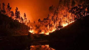 Clip HALUCINANT! Incendiul din Portugalia a fost filmat cu o DRONĂ (VIDEO)