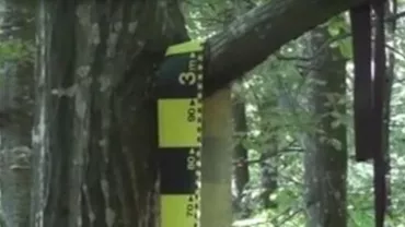 Buzău: Copil de 14 ani, găsit spânzurat de creanga unui plop