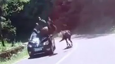 ACCIDENT ȘOCANT PE TRANSFĂGĂRĂȘAN! (VIDEO)