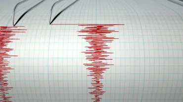 Cutremur, joi seară, în zona seismică Vrancea