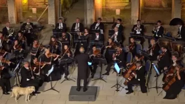 Un MAIDANEZ întrerupe un concert simfonic! (VIDEO)