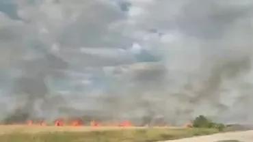 Incendiu puternic în Parcul Naţional Domogled. Zeci de pompieri intervin (VIDEO)