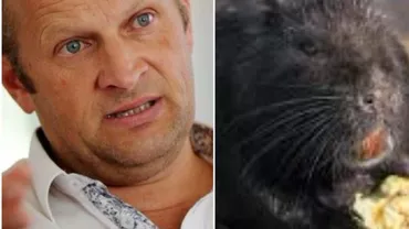 Un primar din Franța a mâncat o rozătoare pentru o echipă de fotbal