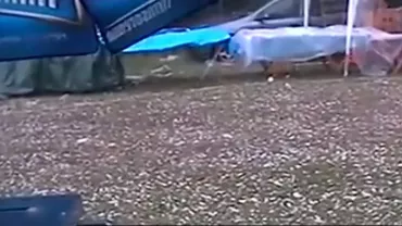 Natura s-a dezlănţuit în Buzău: Grindină cât oul de porumbel (VIDEO)