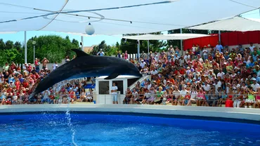 Turiștii NU au voie să arunce cu bani în bazinul cu pești. Semnal de alarmă tras de Delfinariul Constanța (FOTO)