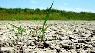 METEO: Cum va fi vremea în următoarele 3 luni