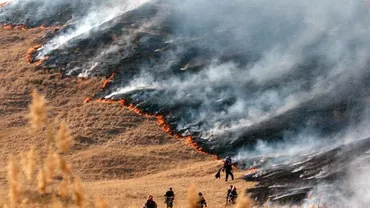 Tulcea: 50 de hectare de miriște, incendiate în apropiere de satul Baia