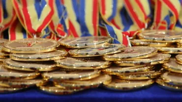 Elevii români au obținut patru medalii la Olimpiada Internațională de Lingvistică