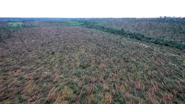 TORNADĂ fără precedent în Polonia: cinci morți, zeci de răniți, sute de mii de gospodării fără electricitate! (VIDEO)