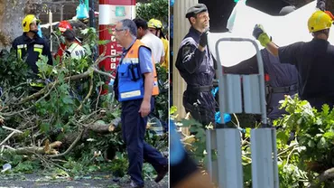 Incident TRAGIC în Portugalia! Peste 10 persoane au murit strivite de un copac, în timpul unui ceremonii religioase (VIDEO, FOTO)