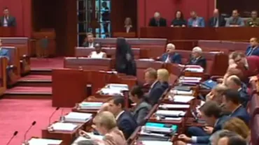 O senatoare australiană a apărut îmbrăcată în burqa în Parlament și a cerut interzicerea veșmântului islamic (VIDEO)