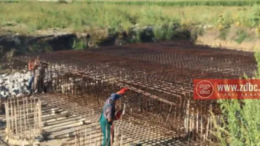 Centura Bacăului se taie și se vinde la REMAT cu 0,75 lei pe kilogram (VIDEO)