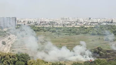 Incendiu de vegetație în Delta Văcărești! Pompierii au intervenit de urgență (VIDEO, FOTO)