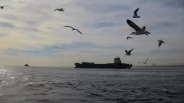 EVITAȚI ACEASTĂ NAVĂ! Șase marinari români blocați! Avertismentul Sindicatului Liber al Navigatorilor (FOTO)