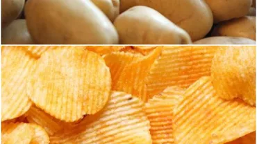 A început recoltarea cartofilor pentru fabricile de chipsuri. Asemenea producţie la un hectar nu a mai fost de 20 de ani