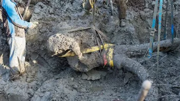Ce a găsit un fermier în pământ este de-a dreptul revoltător (FOTO)