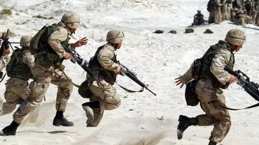 PSD vrea serviciu militar pe bază de voluntariat şi înființarea unei Gărzi Civile
