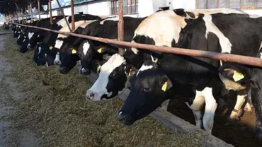 Românii, înlocuiţi de nepalezi la munca în ferme: "Nu am găsit muncitori care să vrea să lucreze pe 2500 lei/lună"