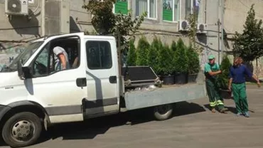 Ca pe vremea lui Ceaușescu! Brăduții de la Colegiul Șincai, luați înapoi de ADP Sector 4, după plecarea lui Iohannis (FOTO)