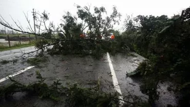 Maramureș: Traficul rutier pe DN 18 prin Pasul Gutâi, suspendat din cauza copacilor căzuți pe carosabil