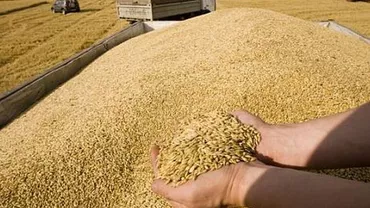 Producțiile actuale de grâu, rapiță, mazăre și orz sunt cele mai mari din istoria țării