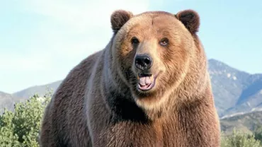 Fiul lui Trump şi regele Juan Carlos au ucis urşi în România (FOTO)