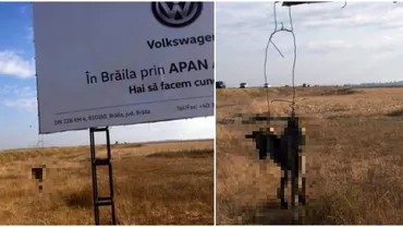 INCREDIBIL! Mascota oribilă de la intrarea în orașul Însurăței (FOTO)