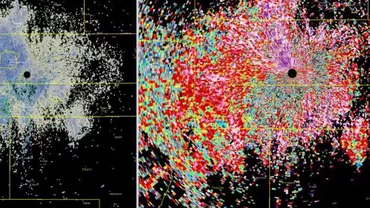 Un roi masiv de fluturi migratori, surprins pe un radar meteorologic