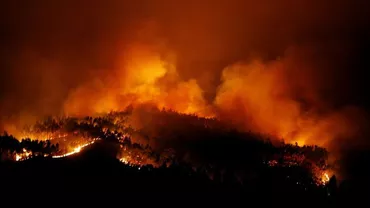 Incendiile din Portugalia și Spania fac dezastru: 39 de oameni au murit