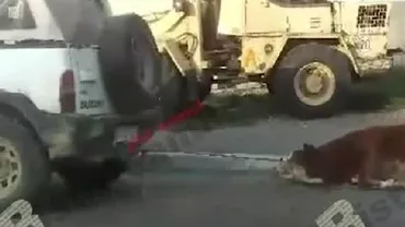 Cruzime fără margini: Un viţel legat cu sfoară, târât după o mașină de teren (VIDEO)