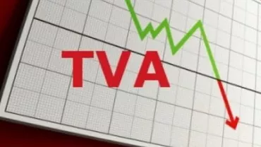 "Split TVA vine pe fundalul unei situații dramatice" - Avertismentul unui fost ministru al Economiei