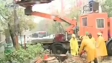 Prăpăd în Capitală: Copac prăbușit peste un taxi. Doi oameni au fost răniți (VIDEO)