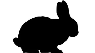 Bad Rabbit face RAVAGII în calculatoarele din Europa: Un nou atac MASIV de tip ransomware