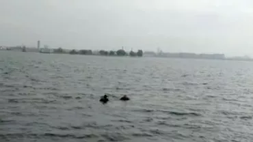 ALERTĂ ÎN BUCUREȘTI: O mașină S-A SCUFUNDAT într-un lac din CAPITALĂ. SALVATORII intervin chiar acum!